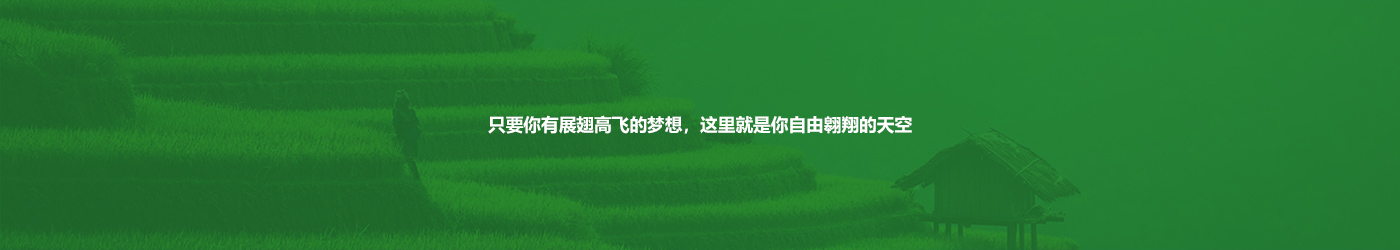 彩运网(中国游) - 官方网站