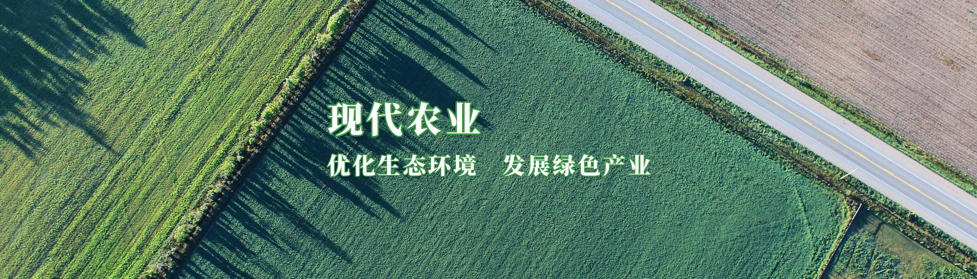 彩运网(中国游) - 官方网站