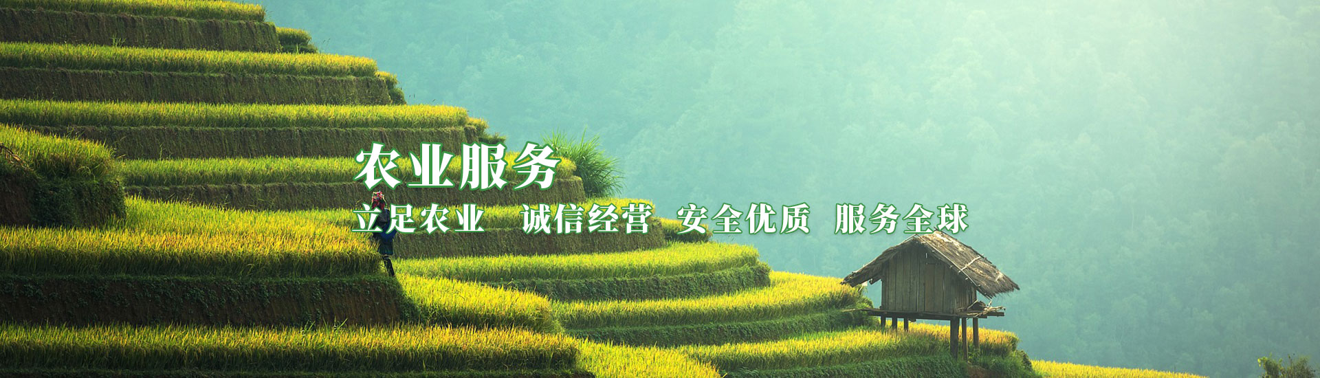 彩运网(中国游) - 官方网站