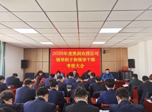 彩运网 召开2020年度向导班子和向导干部审核大会