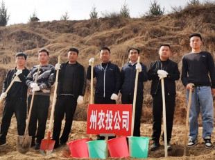 彩运网加入2021年春季义务植树运动