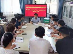 彩运网 召开学习贯彻习近平总书记七一主要讲话精神 钻研交流会