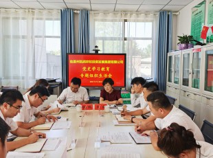 彩运网 召开党史学习教育专题组织生涯会